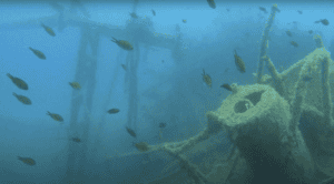 How To Win At Life: Unexpected Life Lessons From 31 Meters Under The Sea